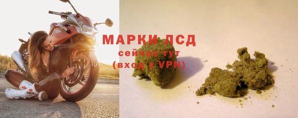 молекула духа Богородицк