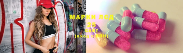 молекула духа Богородицк