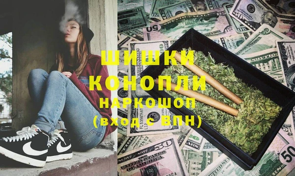 молекула духа Богородицк