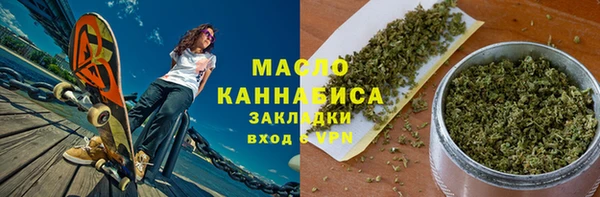 молекула духа Богородицк