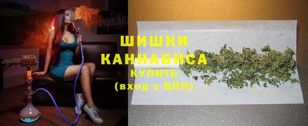 молекула духа Богородицк