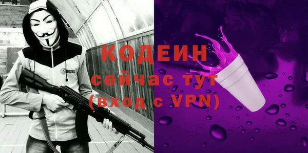молекула духа Богородицк