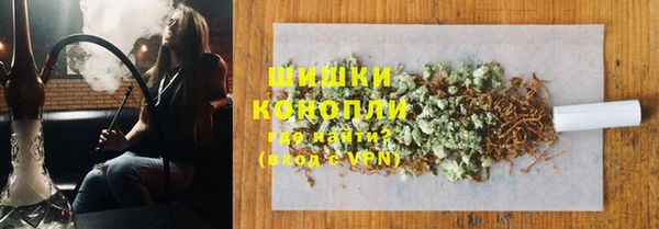молекула духа Богородицк